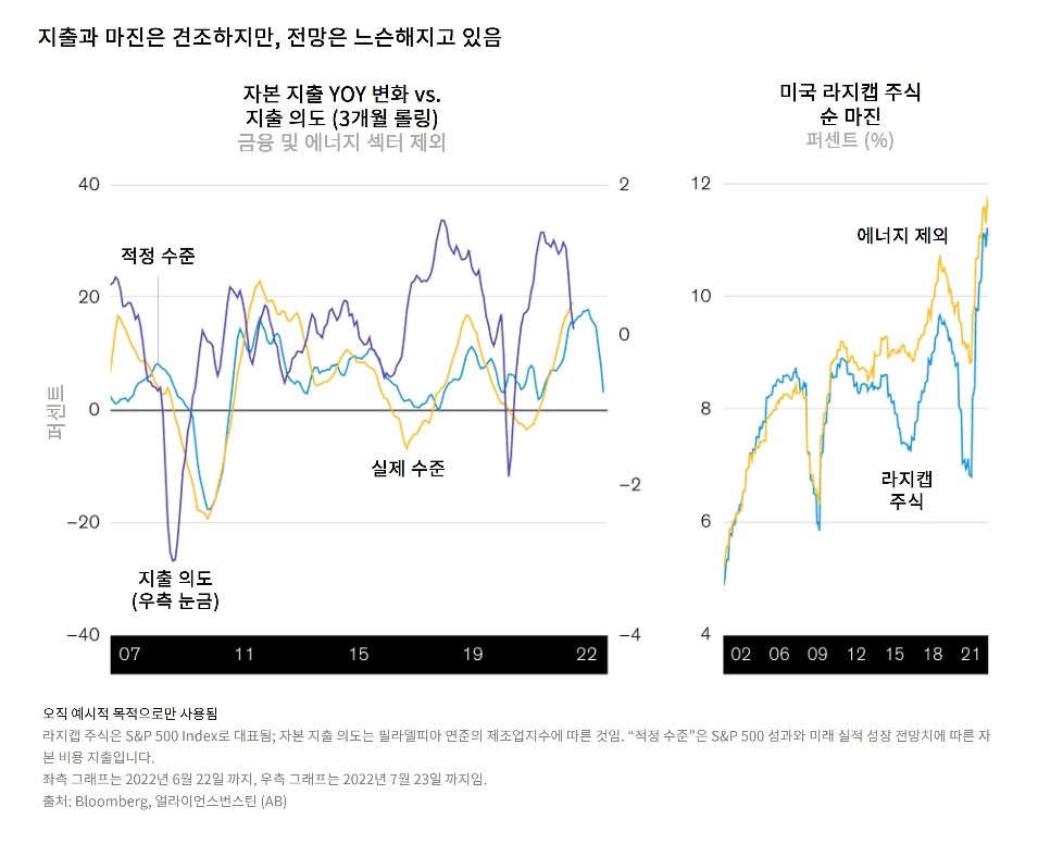 A line graph compares U.S. spending intentions and profit margins by sector, with and without energy.