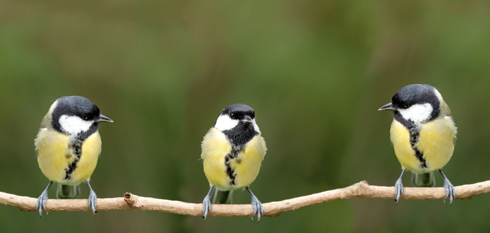 멀티에셋 인컴 전략 (1) 증시 강세, 내년에도 이어지나?