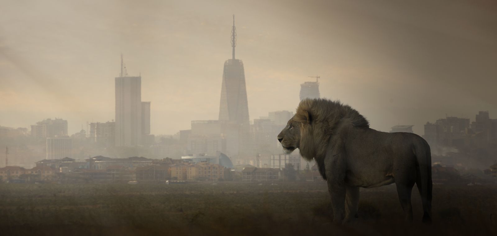AI 인프라 혁명 속 채권 투자 기회