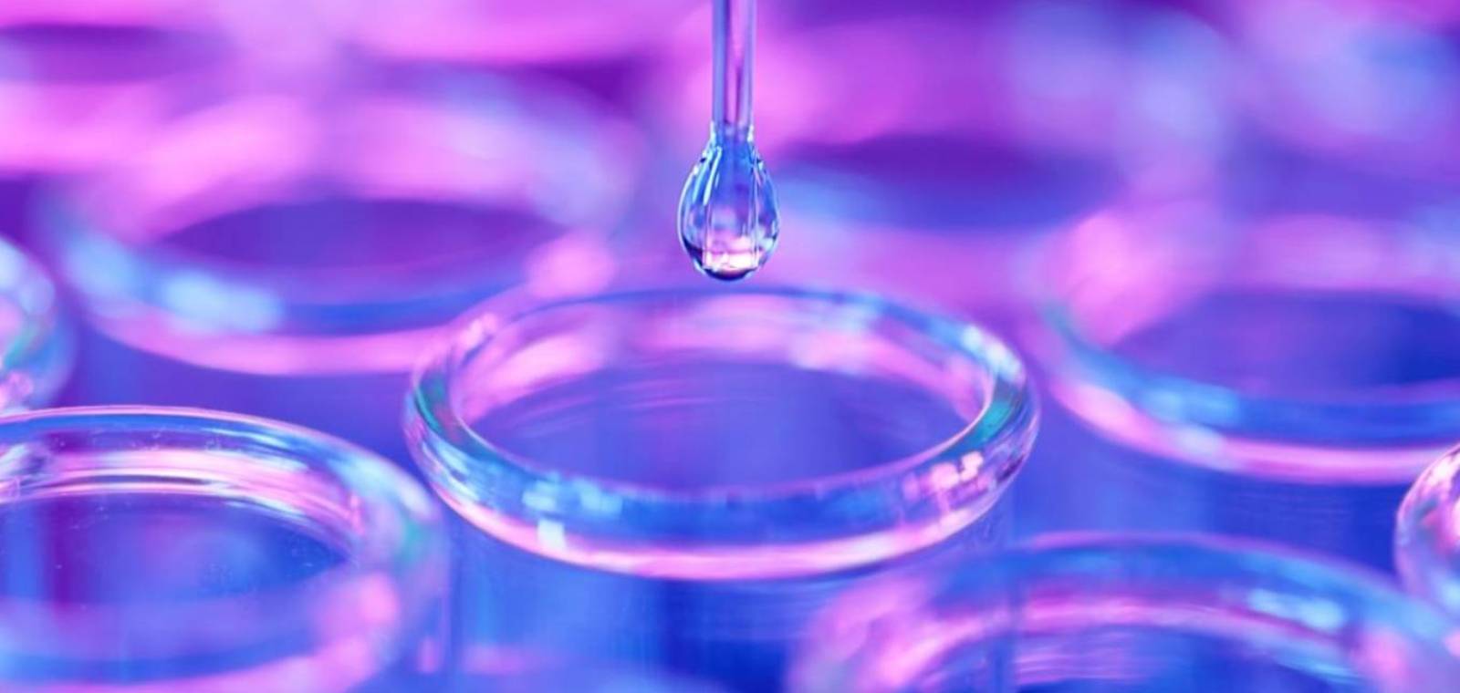 정책 불확실성 겪은 헬스케어 섹터가 다시 주목받는 이유